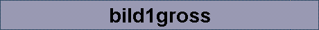 bild1gross